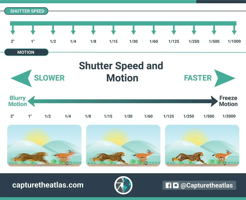 Shutter Speed and Motion